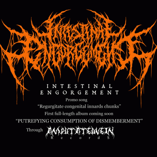 Intestinal Engorgement : Regurgitate Congenital Innards Chunks